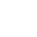 ariat